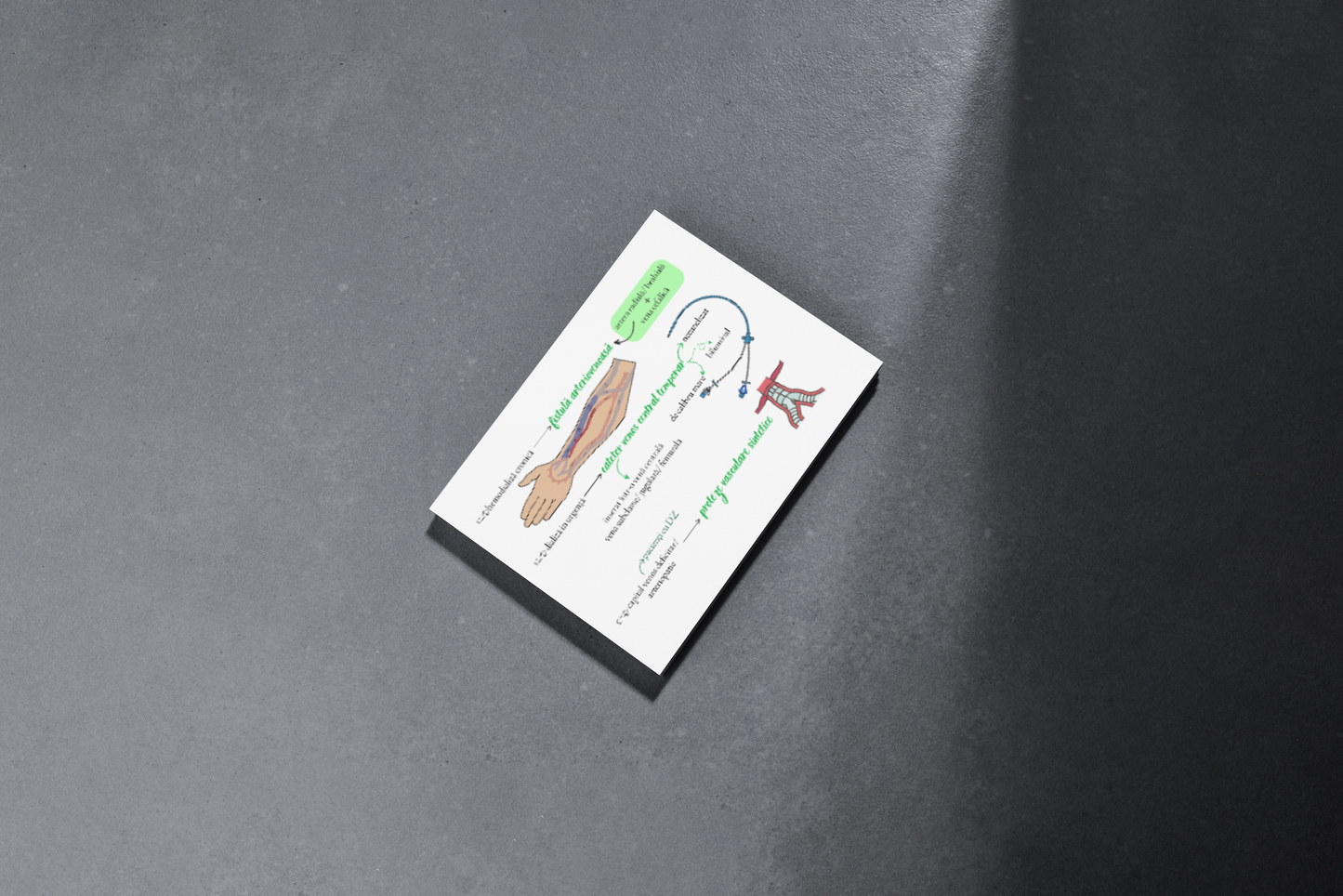 Flashcarduri Urologie 2 + PLANȘE CADOU