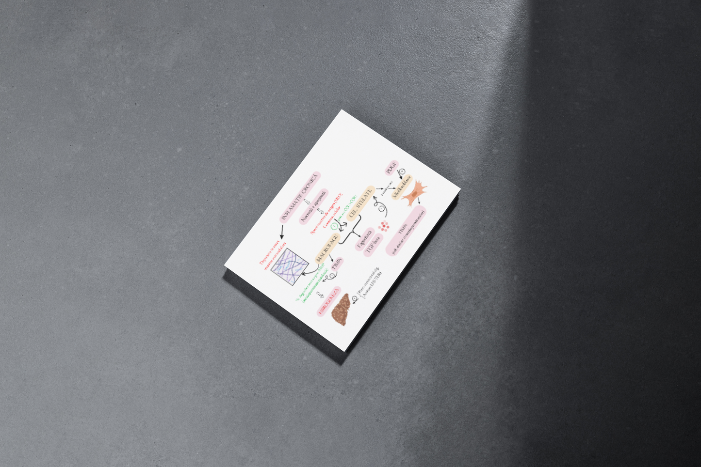 Flashcarduri Boli Hepatice