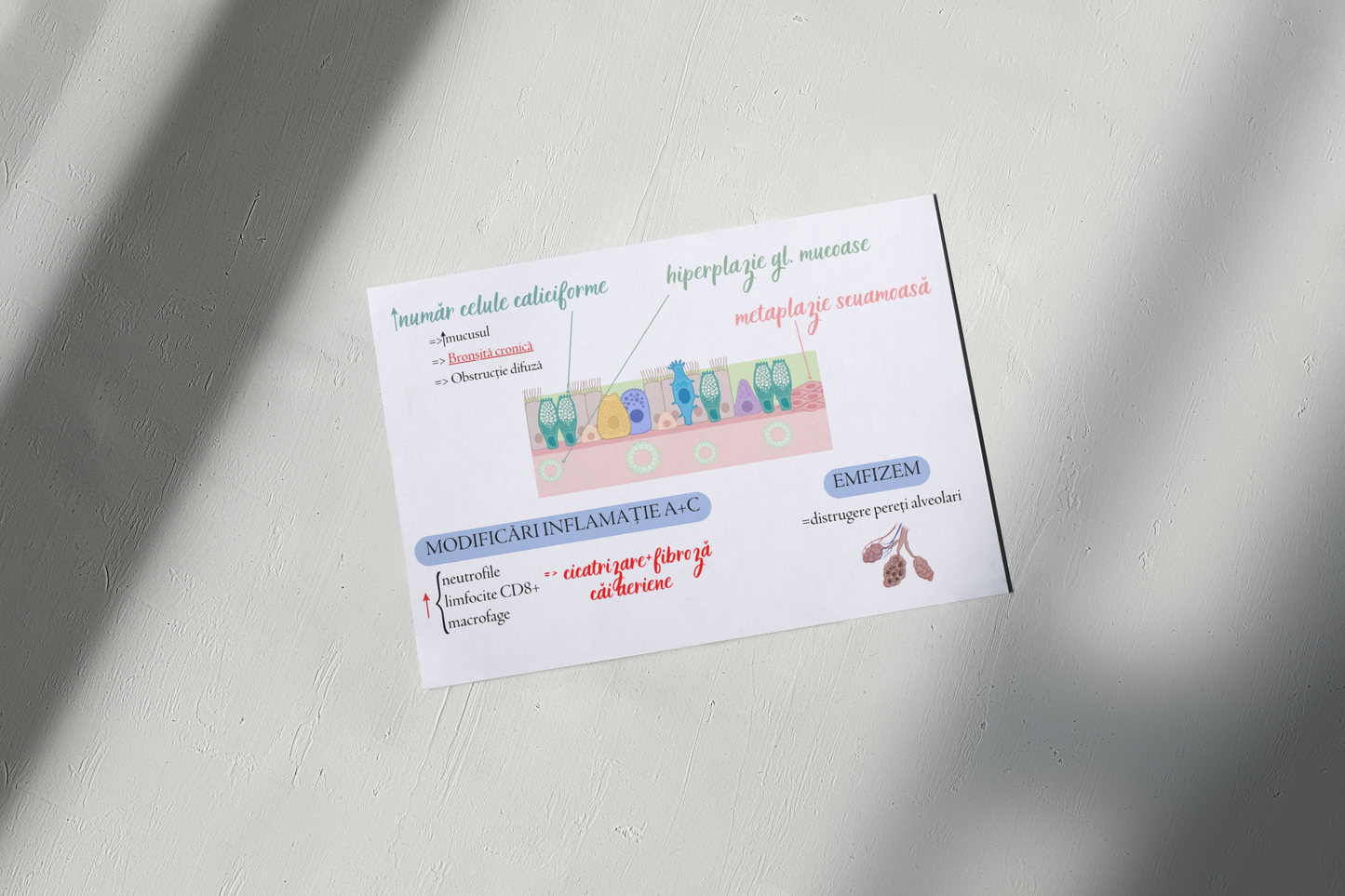 Flashcarduri Pneumologie