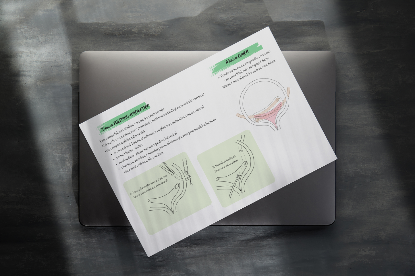 Flashcarduri Urologie 2 + PLANȘE CADOU
