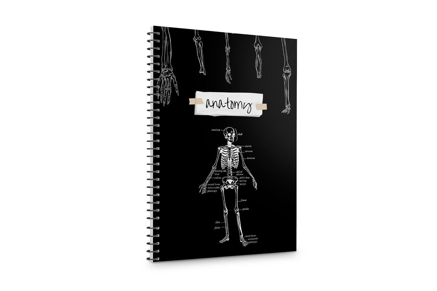 Caiet A4 BASIC MedFun Anatomy 80 de file
