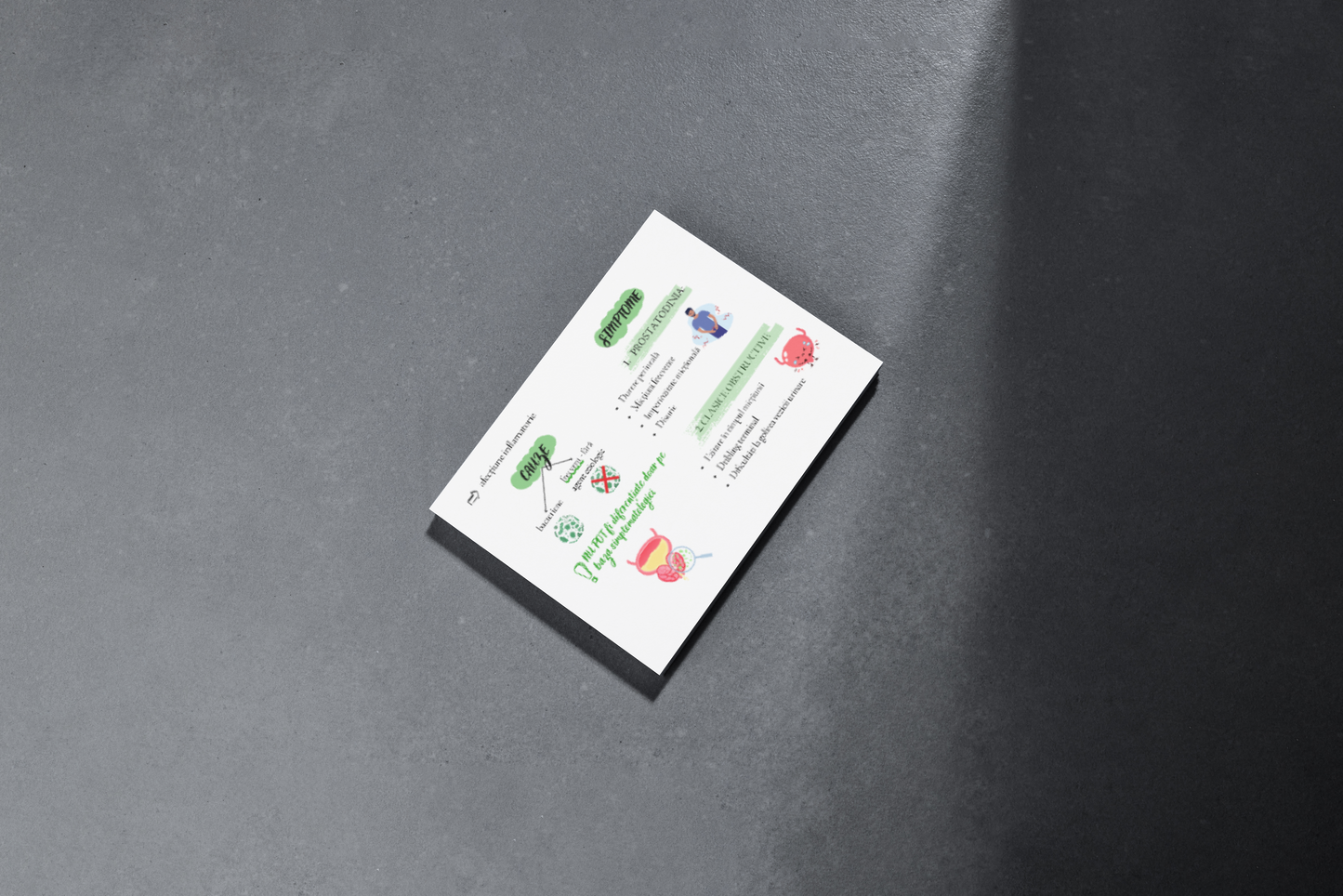 Flashcarduri Urologie