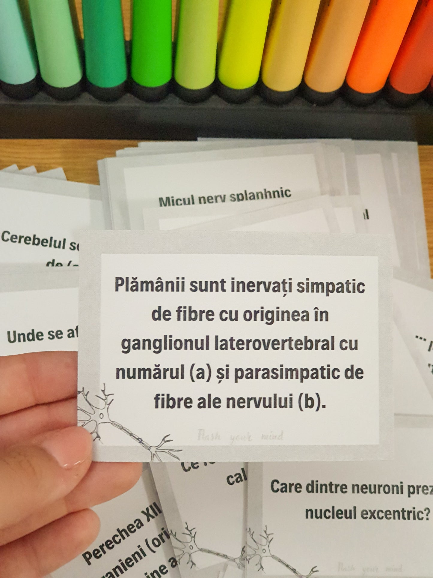 Set Sistemul nervos CORINT