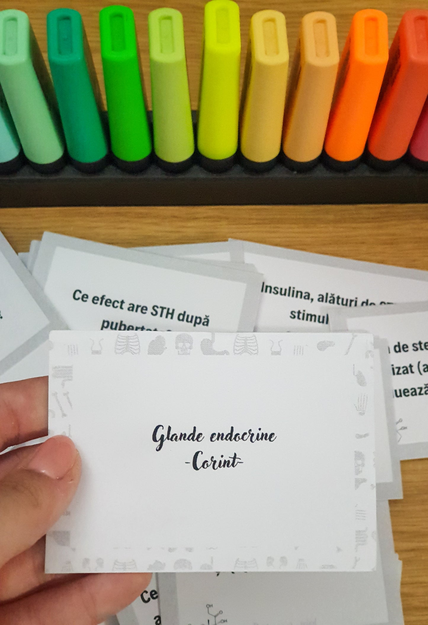 Flashcarduri Corint (11 capitole) + Caiet de grile