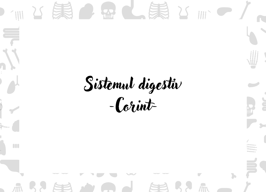 Set toate flashcardurile CORINT (11 capitole)