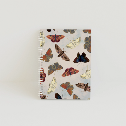 Caiet A4 BASIC Butterfly 80 de file