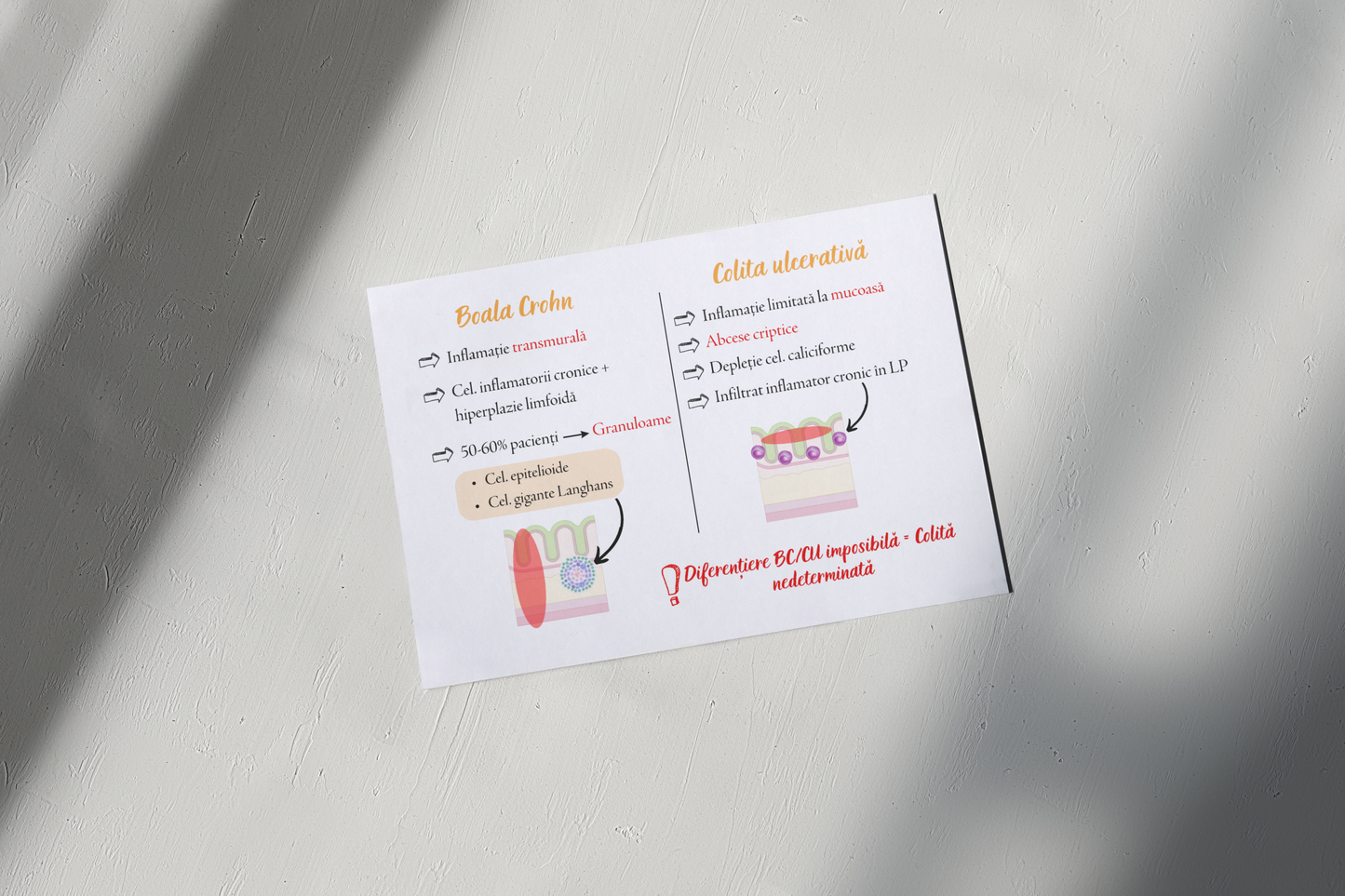 Flashcarduri Gastroenterologie