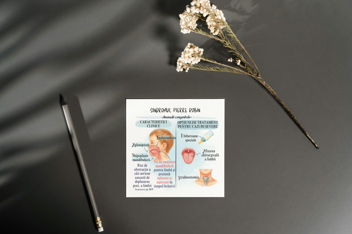 SET PROMO: Planşe A5 Antibiotice + Flashcarduri Nume proprii (ReziBrain)