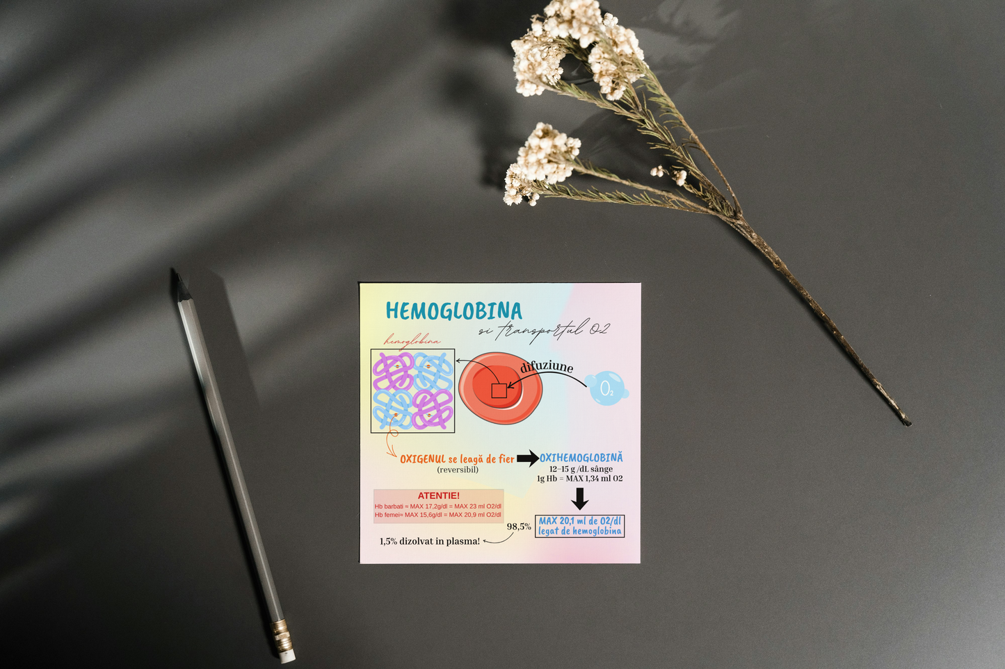 Set Flashcarduri Asocieri Corint - set 1