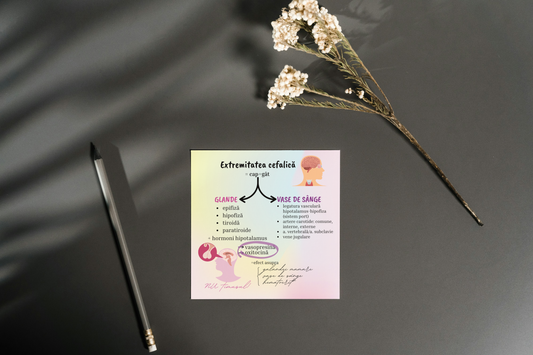 Set Flashcarduri Asocieri Corint - set 1